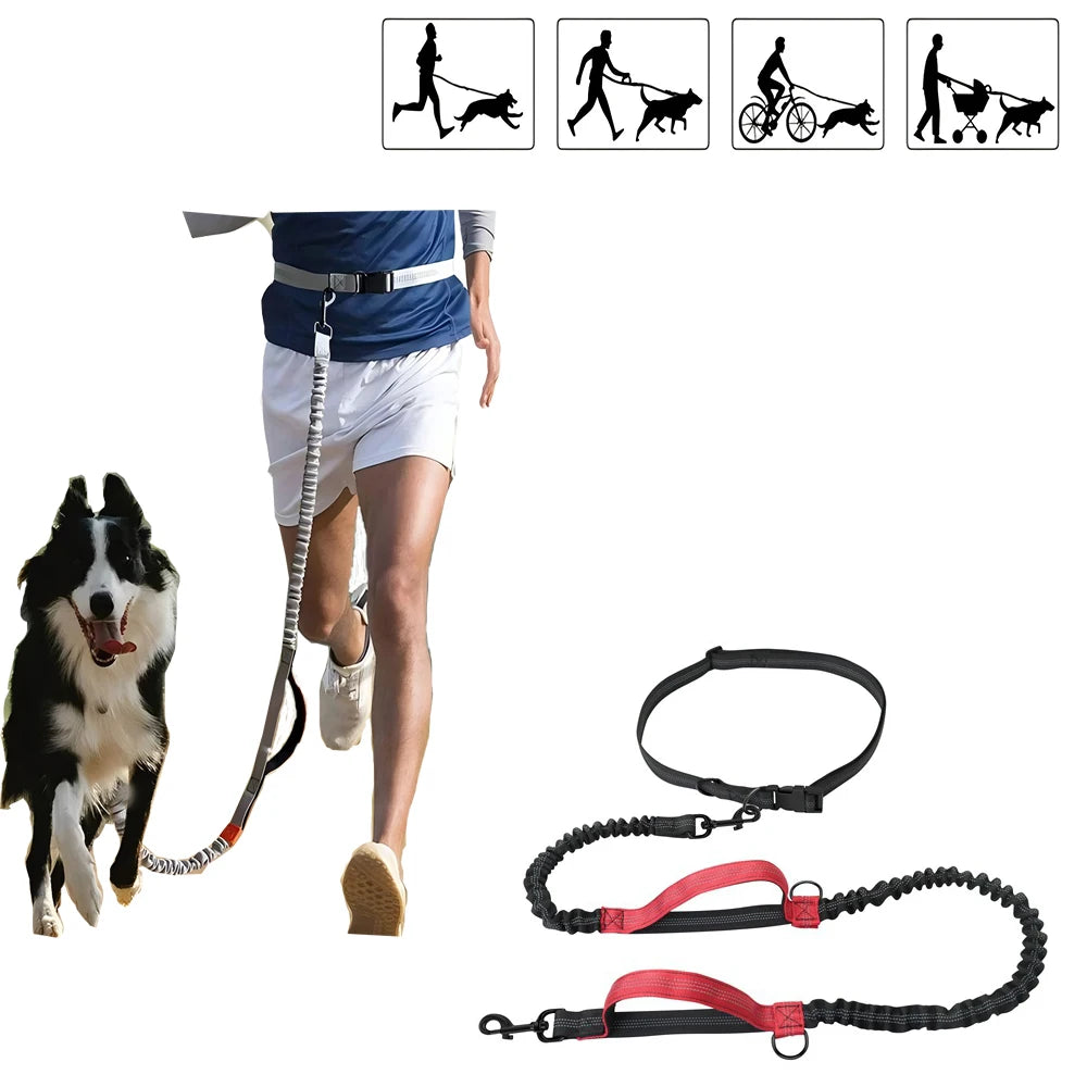 Intelligent Electric Ultrasonic Stop Barking Vibration Anti Bark Collar Stop Bark Training Collar for Dogs Stopper USB Charging